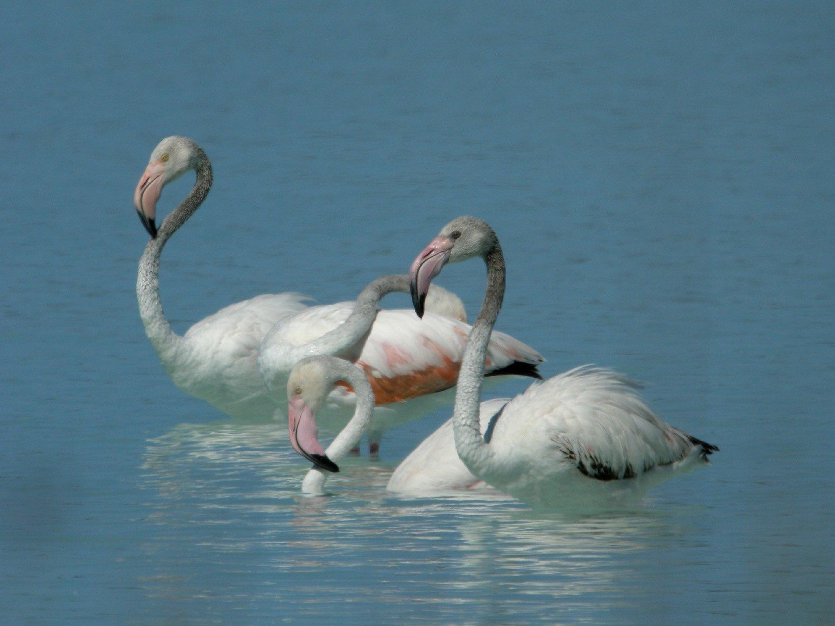 Parc national de Tsimanampetsotsa, Sud-Ouest