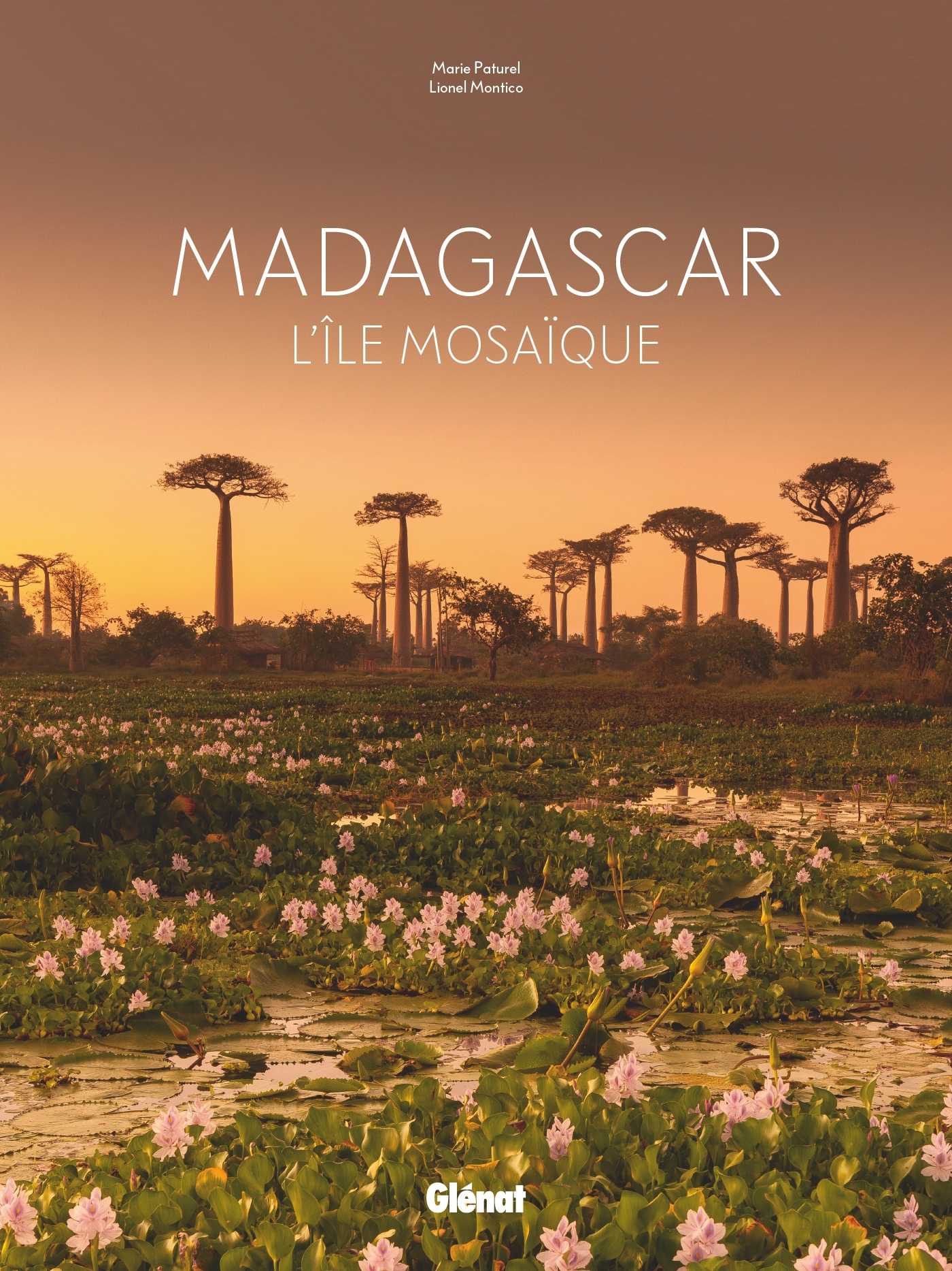 Couverture du livre Madagascar : l’île mosaïque